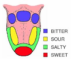 tongue