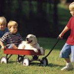 boys and wagon